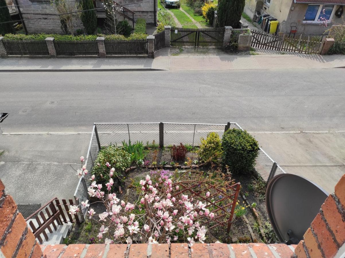 Apartament Pod Jalowcem Gory Sowie 533-543-732 イェドリナ・ズドルイ エクステリア 写真